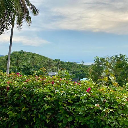 Ko Samui Seaview Pool Villa Seren With Car หาดแหลมเส็ด ภายนอก รูปภาพ
