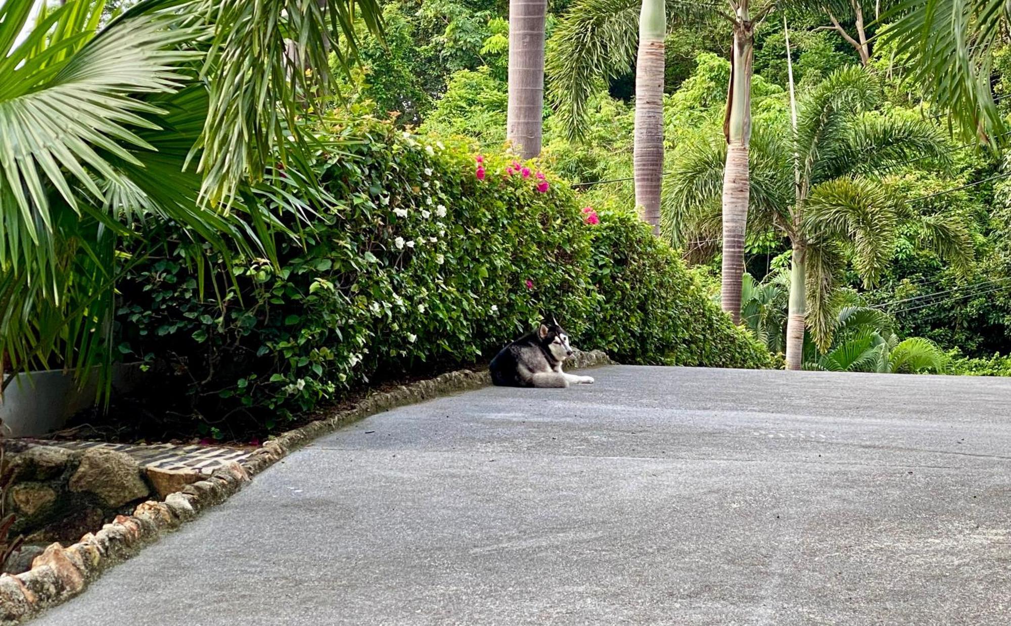 Ko Samui Seaview Pool Villa Seren With Car หาดแหลมเส็ด ภายนอก รูปภาพ