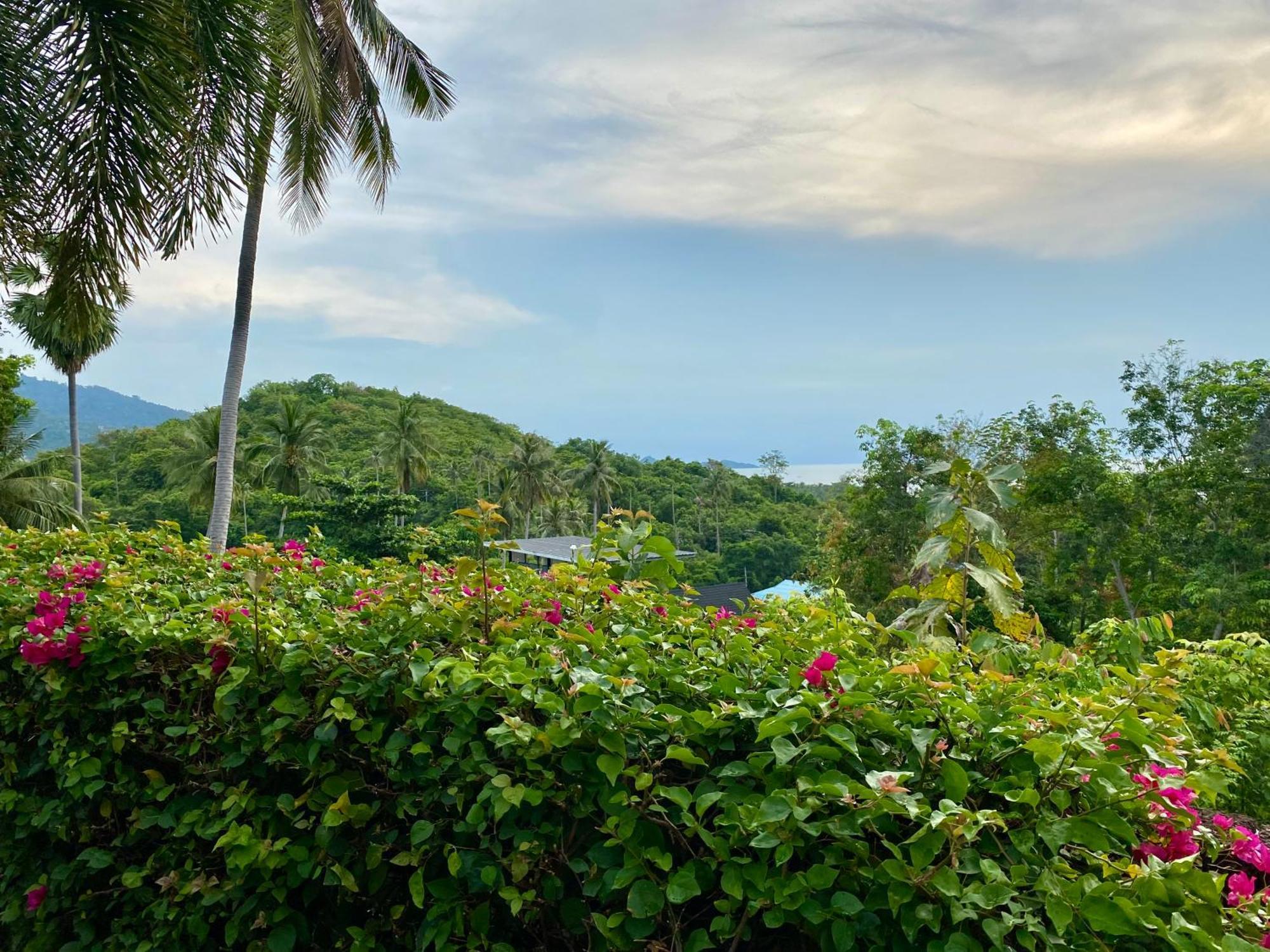 Ko Samui Seaview Pool Villa Seren With Car หาดแหลมเส็ด ภายนอก รูปภาพ