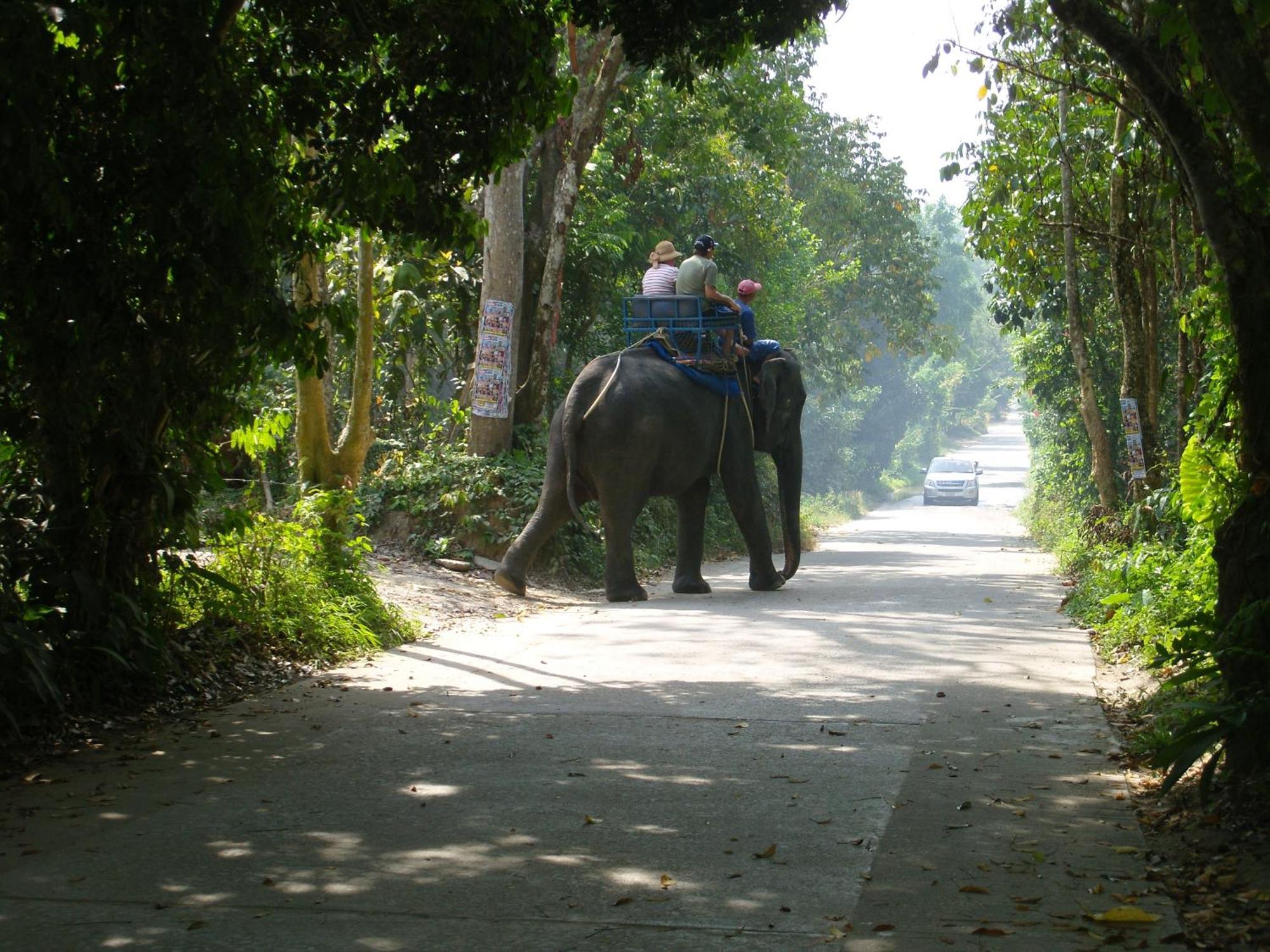 Ko Samui Seaview Pool Villa Seren With Car หาดแหลมเส็ด ภายนอก รูปภาพ